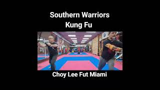 Double Hook Sword Choy Lee Fut Kung Fu Miami [upl. by Eerot247]