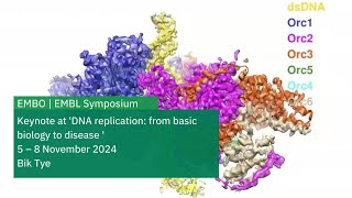 Four decades of eukaryotic DNA replicationfrom yeast genetics to cryoEM structures of the replisome [upl. by Dirrej]