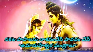 జన్మజన్మల పాపాలనుకర్మలను దహించివేసేUmamaheshwara mantras with lyricmeaningampSignificance🙏 [upl. by Namilus]