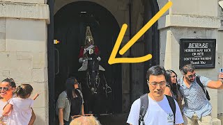 WHEN TOURIST ENTER THE HORSE BOX FOR A PHOTO AT HORSE GUARDS IN LONDON [upl. by Auroora582]