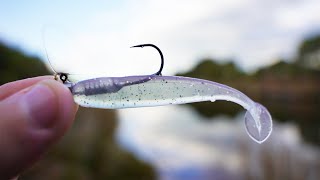 How To Start Soft Plastics Fishing Beginners Guide [upl. by Turpin]