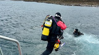 Farne Islands seal diving sea ocean farneislands ukdiving uk wildlife scubadiving bsac [upl. by Teerprah576]