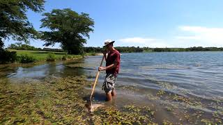 Using a sweep net in the littoral zone to qualitatively sample macroinvertebrates [upl. by Lodi]