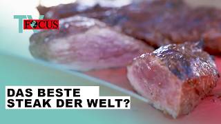 Wer grillt das beste Steak der Welt Die GrillWM in Stuttgart  Focus TV Reportage [upl. by Picardi]