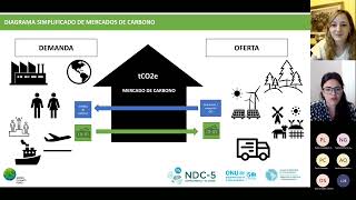 Evento de Cooperación Sur Sur Mercados de Carbono y Art 6 en el marco de los proyectos CBIT [upl. by Llehsad]