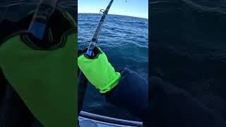 November Pollock Fishing fishing cod deepseafishing [upl. by Nosyerg]