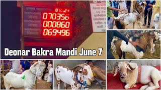 Deonar Bakra Mandi 2024 June 7 Vlog Day 3 by Arsheen and Fahad Empire Goat Yard [upl. by Quartas995]