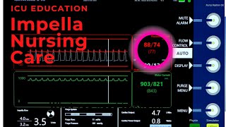 Impella Purge System Information [upl. by Dnumyar]