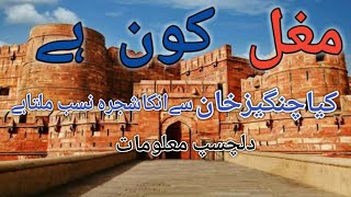 history of mughals in urdu mughal history in urdu [upl. by Isis162]