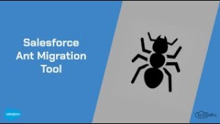 Salesforce Deployments  Lead Conversion  Workbench  ANT  Copado [upl. by Aduh]