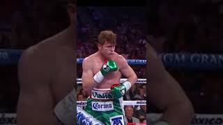 Mayweather vs Canelo highlights shortvideo boxing [upl. by Anawak]