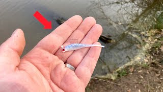 Easy Way to Catch Spring Crappie From the Bank [upl. by Arsi]