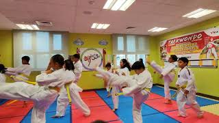 PSD Taekwondo Promotional Test Part 1  white belt and yellow belt [upl. by Genovera]