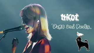 tricot「Dogs and Ducks」Live Music Video [upl. by Trebloc]