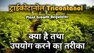 ट्राईकांटानोल।Triacontanol PGR।दावा एक काम अनेक। [upl. by Enaillil789]