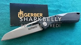 Gerber Sharkbelly Review  Ultralight amp Stylish Budget EDC Folder [upl. by Cecil]