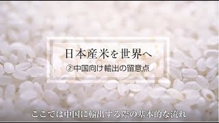 「日本産米を世界へ」②中国向け輸出の留意点 [upl. by Ambrosio281]