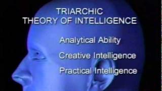 intelligence triarchic theory of intelligence [upl. by Willamina]