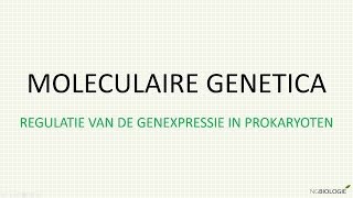 Moleculaire genetica  regulatie van genexpressie in prokaryoten [upl. by Pardoes]