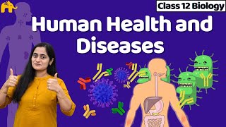 Human Health and Diseases Class 12  Biology NCERT Chapter 7 One Shot  CBSE NEET [upl. by Joash]