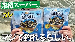 業務スーパーで買った冷凍ムール貝でこんな魚が釣れるなんて…堤防・磯の足元狙いにぜひ使ってみて欲しい！ [upl. by Worlock687]