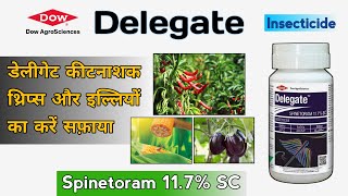 Dow Delegate Insecticide  Dow AgroSciences  Spinetoram 117 SC  Corteva  DuPont  In Hindi [upl. by Mikey701]