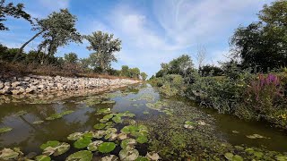 Magee Marsh Wildlife Area Ottawa County August 2024 4k [upl. by Kanya863]