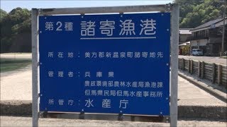 【釣り場紹介】諸寄（もろよせ）漁港（兵庫県美方郡新温泉町）の紹介 [upl. by Zehe464]