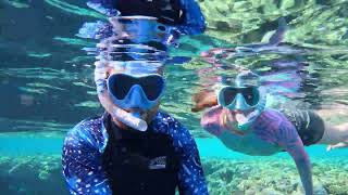 Sharm ElSheikh Reef Oasis Blue Bay Resort 2024 [upl. by Gelasias]