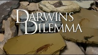 Darwins Dilemma  German [upl. by Spindell]