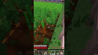 Lagriculture Relaxante 🌾🥕 asmr gaming minecraft asmrsounds jeux [upl. by Brodsky172]