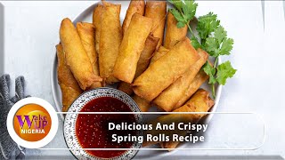 VIDEO Easiest Way To Make Spring Rolls  Step By Step Recipe [upl. by Midian]