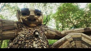 Normandie  Canteleu  Forêt Monumentale  A la rencontre du Géant  4k Cinématographique [upl. by Darbie]