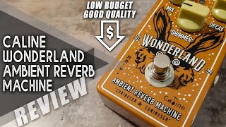 AWESOME Budget PEDAL  Caline CP508 WONDERLAND Ambient Reverb  VIDEO REVIEW NO TALK [upl. by Agnes]