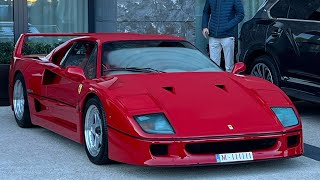 SUPERCARS KNOKKEHEIST  Purosangue F40 812 SuperFast 992 GT Touring Huracán STO [upl. by Cinelli374]