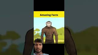 amazingfacts factbeast factsinhindi mrbast amazing mrfactstory interestingfacts mrfactor mr [upl. by Shepherd]