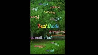 Kozhikode slang poli  padiche nookiyaalloo champions world 05 [upl. by Remot]