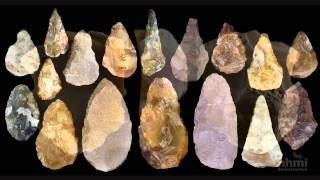 Stone Tool Technology of Our Human Ancestors — HHMI BioInteractive Video [upl. by Sydel]