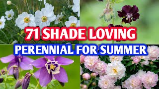 71 Shade Loving Perennials For Summer  Shade Garden Perennials for Summer  Plant and Planting [upl. by Brandes]