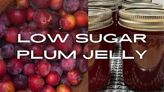 Canning Low Sugar Plum Jelly Using a Steam Juicer [upl. by Ettenig]