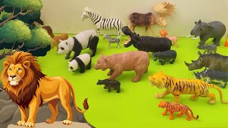 Wildlife Safari Meet Amazing Wildlife Animal Toys for Kids [upl. by Kerianne]