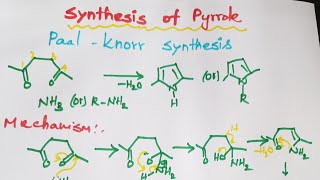 paal knorr synthesis  synthesis of pyrrole AJ Chem [upl. by Ativad]