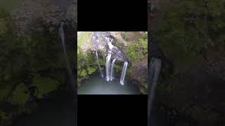 Whangarei Falls newzealand [upl. by Sumahs462]