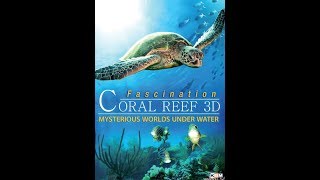 Official Trailer  FASCINATION CORAL REEF 3D  MYSTERIOUS WORLDS UNDER WATER 2012 [upl. by Liebermann]