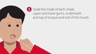 How to Collect a Buccal Swab Sample  StepbyStep Guide [upl. by Anad]