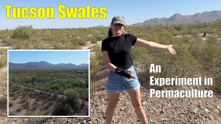 Tucson Swales  an Experiment in Permaculture [upl. by Rudie911]