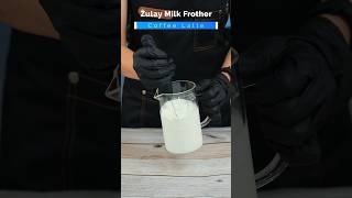 Creamy Froth in Seconds Zulay Milk Frother Magic [upl. by Hooge]