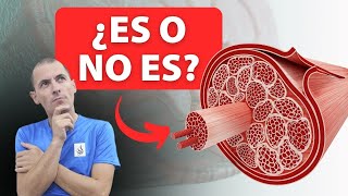 🤔Cómo saber si tienes una rotura de fibras o una rotura muscular💥 [upl. by Kessia]