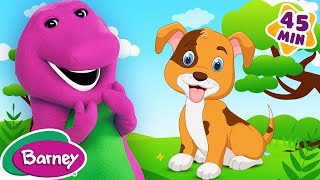 Taking Care of Your Pet  Responsibility for Kids  Full Episode  Barney the Dinosaur [upl. by Eilah]