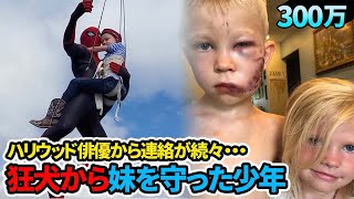 【感動実話】狂犬から妹を守った6歳少年のためにアベンジャーズ俳優たちがした行動が話題に・・・ [upl. by Zolner738]